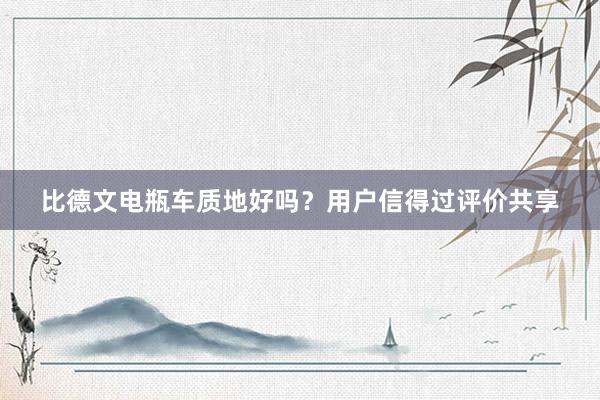 比德文电瓶车质地好吗？用户信得过评价共享